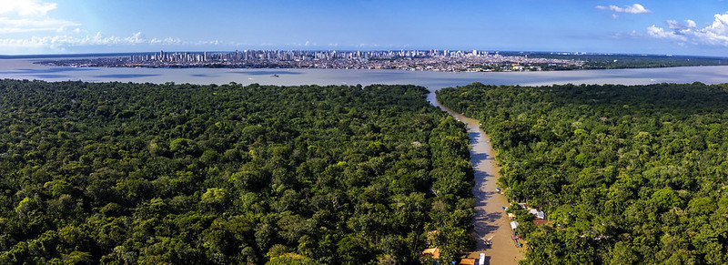Vale e JBS são as que mais patrocinam cobertura jornalística da COP30 na grande mídia