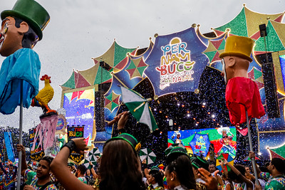 Com foco em acessibilidade e direitos humanos, Governo do Estado articula ações integradas no Carnaval 2026